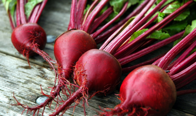 beetroot-uprooted-640x380