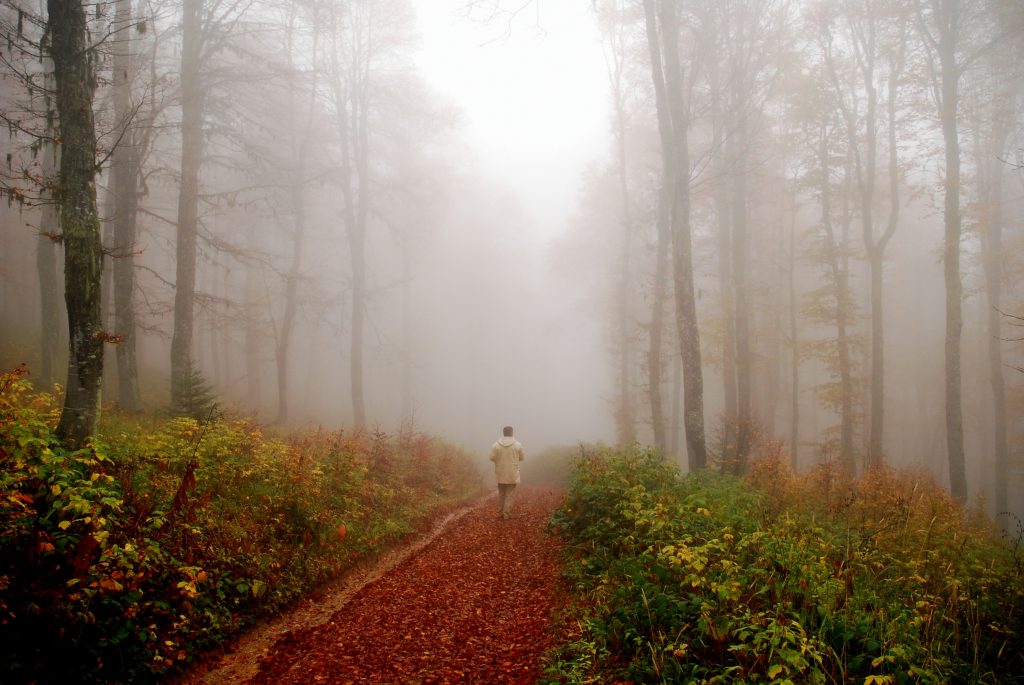 1030-man-walking-on-foggy-forest-trail