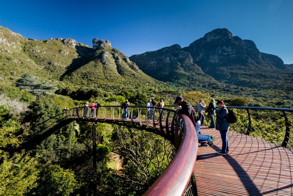 kirstenbosch11-1024x683