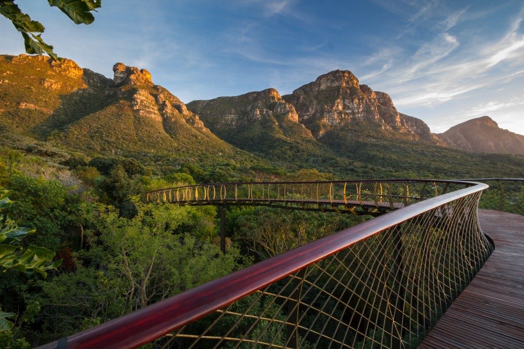 kirstenbosch2-1024x683