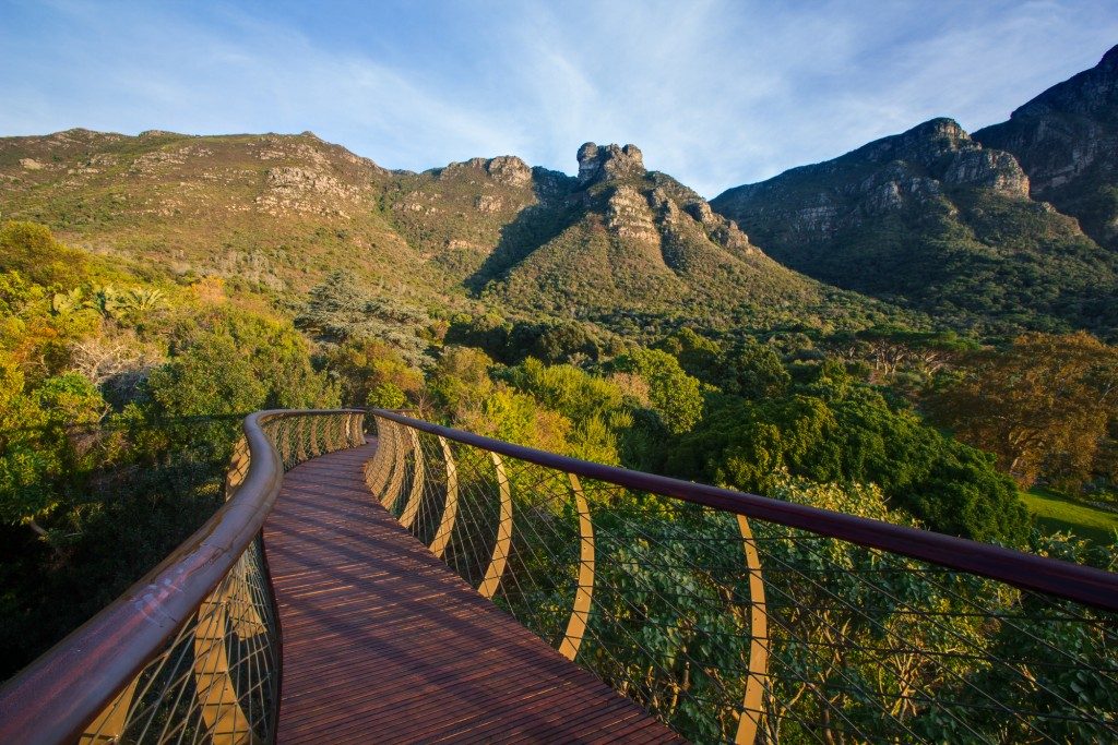 kirstenbosch3-1024x683