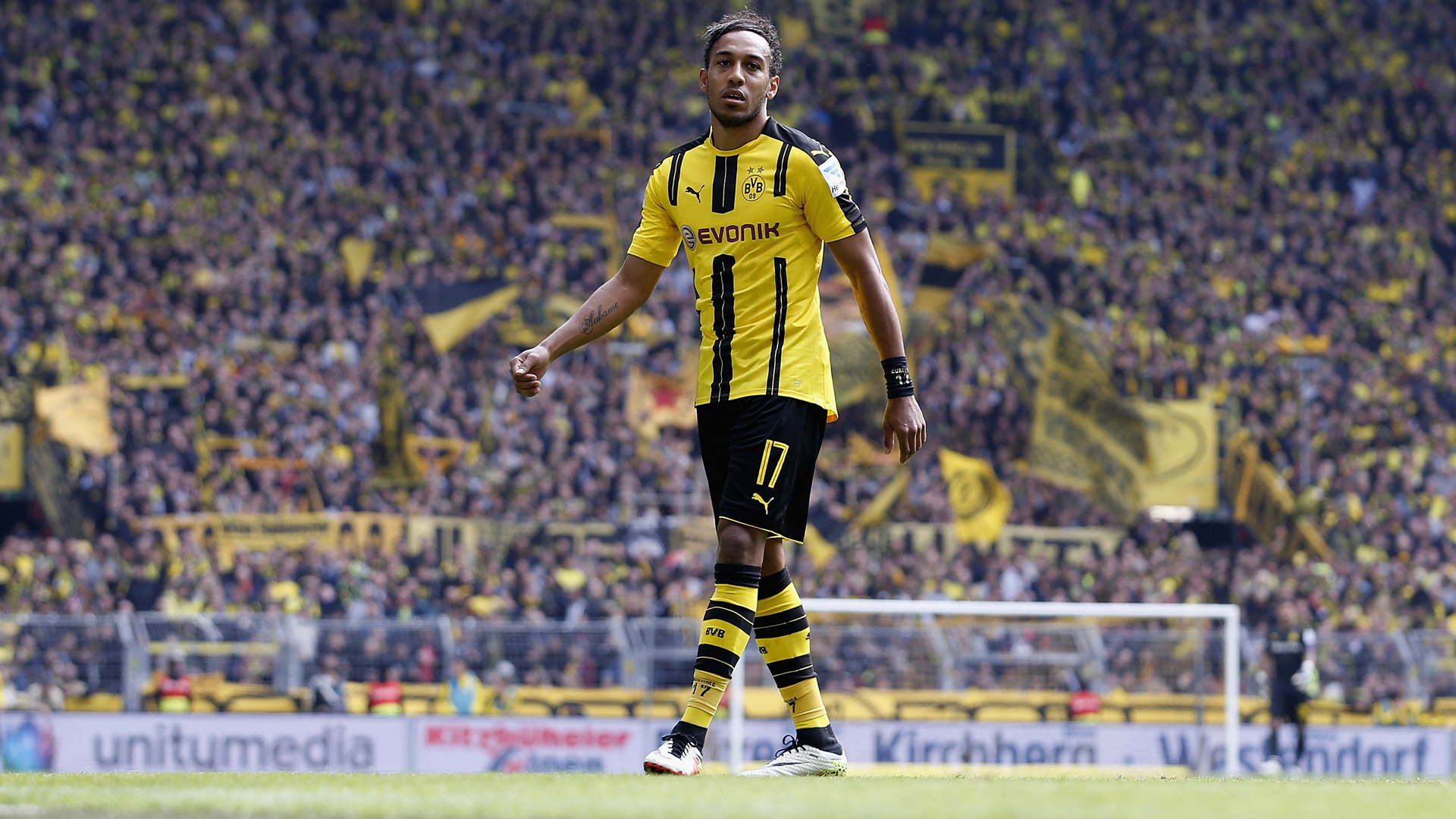 DORTMUND, BERLIN - MAY 14:  Pierre-Emerick Aubameyang of Dortmund looks on during the Bundesliga match between Borussia Dortmund and 1. FC Koeln at Signal Iduna Park on May 14, 2016 in Dortmund, Germany.  (Photo by Boris Streubel/Bundesliga/DFL via Getty Images )