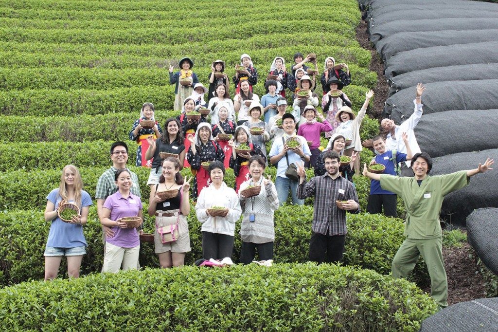 caji-japoni-005-1024x682