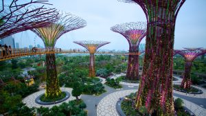 39527-singapore-gardens-by-the-bay