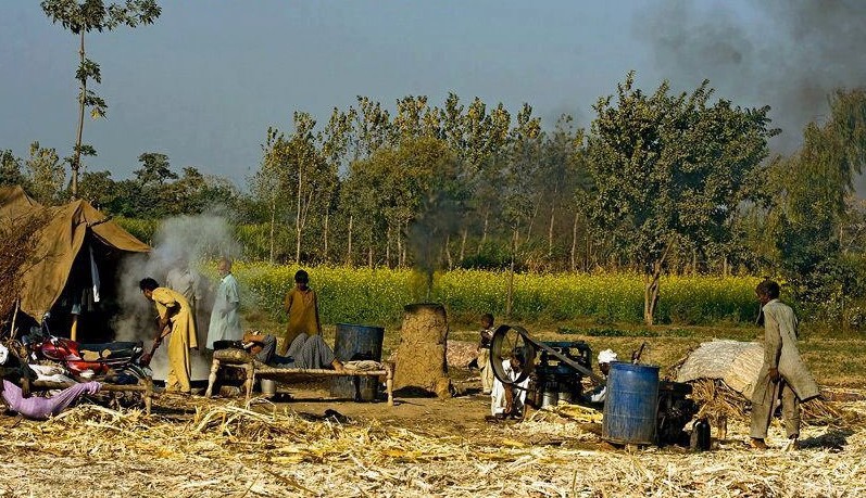 photos-of-pakistani-villages-villagers-making-gur-from-the-sugarcane-juice-pictures-of-pakistani-villages-pakistani-village-life