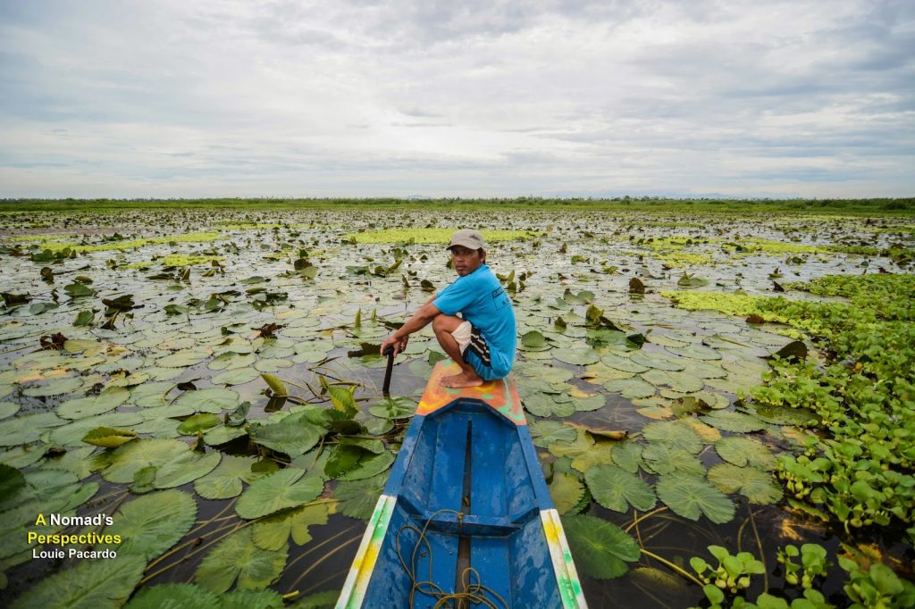 agusan-marsh_4