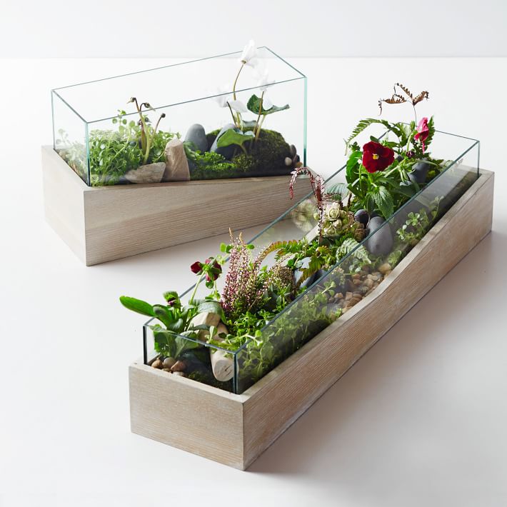 roar-rabbit-angled-wood-terrariums-o