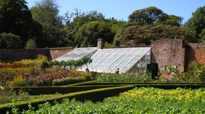 the-lost-gardens-of-heligan-cornwall-flower-garden-1