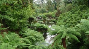 the-lost-gardens-of-heligan-cornwall-jungle-2