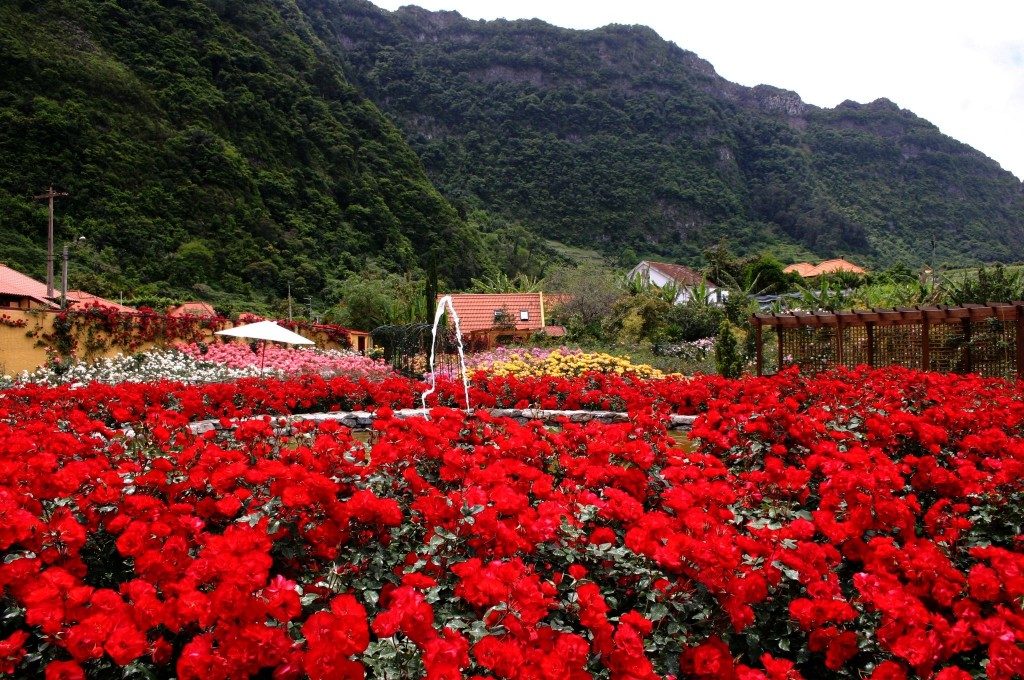 madeira-fest-00008-1024x680