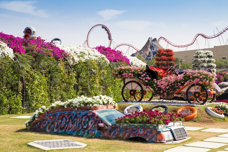 9060716-dubai-uae-january-20-miracle-garden-in-dubai-on-january-20-2014-dubai-uae-beautiful-miracle-garden-with-45-million-flowers