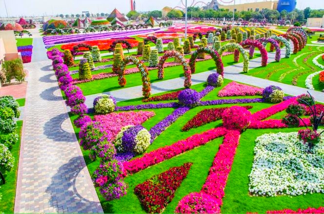 Dubai-Miracle-Garden-341