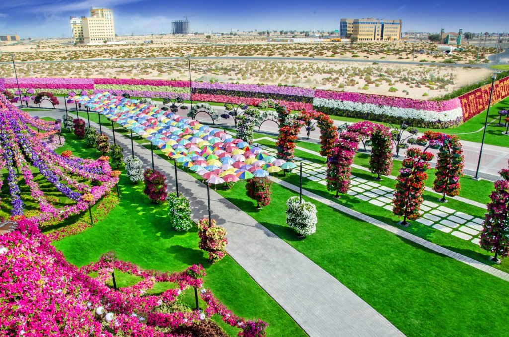 Miracle-Garden-Dubai-3