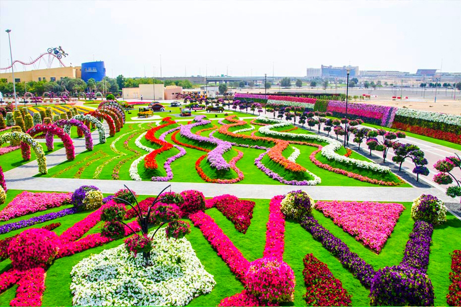 Dubai Miracle Garden