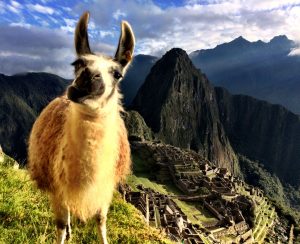 machupichu