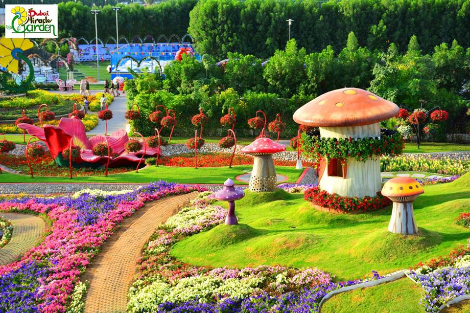 miracle-garden-dubai-1